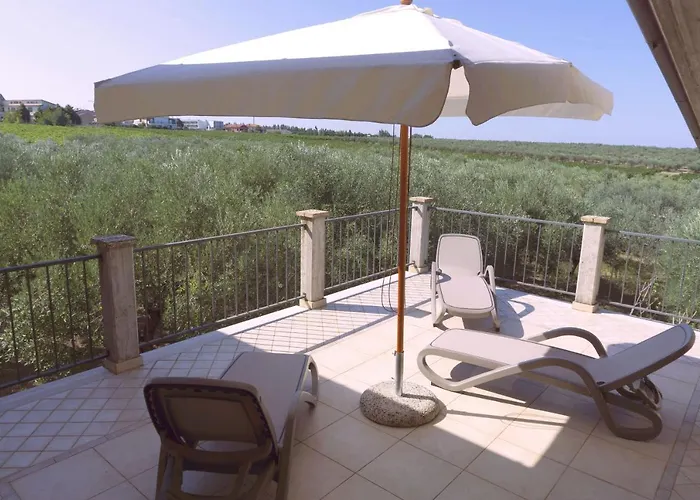 B&B Tra Gli Ulivi