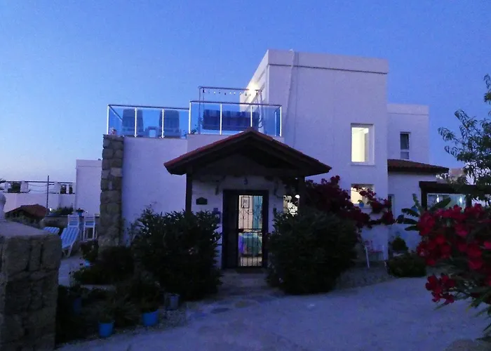 Villa Priene - Gumusluk Private Pool