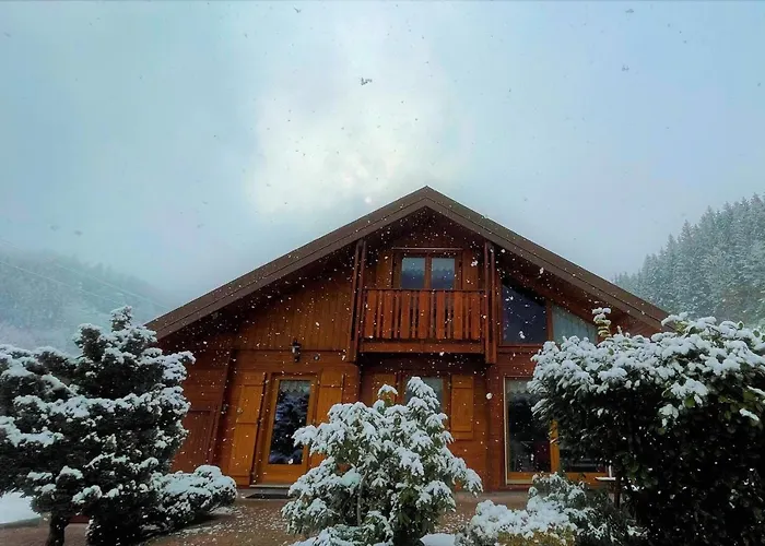 Chalet Tout Confort 'Le Grand Pre', Dog Friendly, Terrain Cloture, Garage