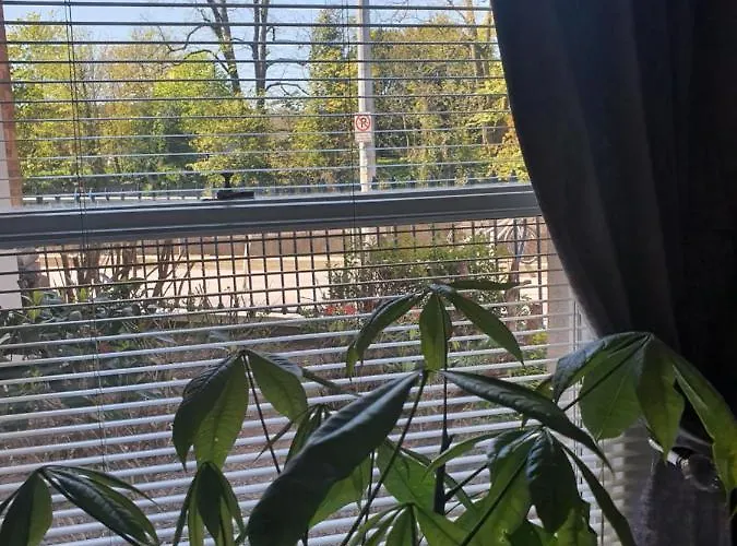 River View Apartment Suite
