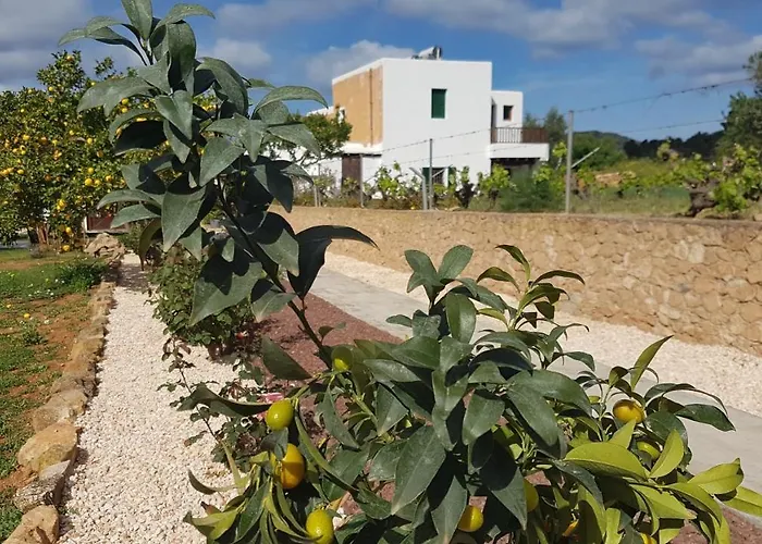 Finca Can Pepis