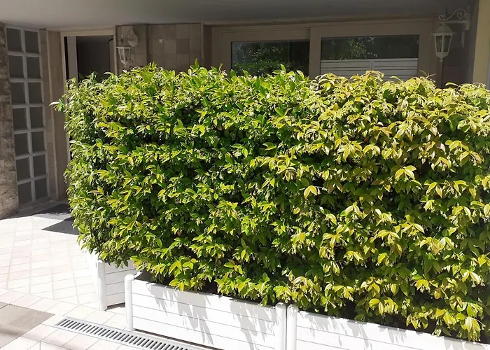 Minzoni94 - Twobedroom+Garden