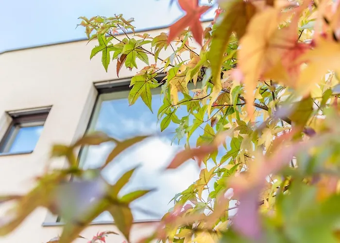 Hof im Kalch Tramin