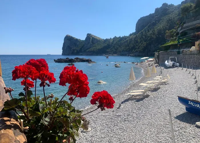 L'Oblo