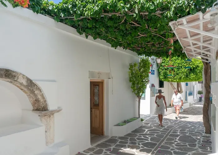 Pelican Paros