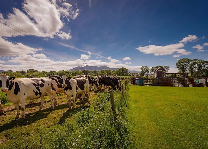Rookery Mews Apartments - Killarney Self Catering