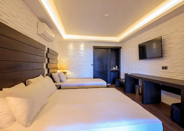Manaspark Deluxe Hotel