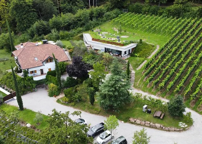 La Vinea