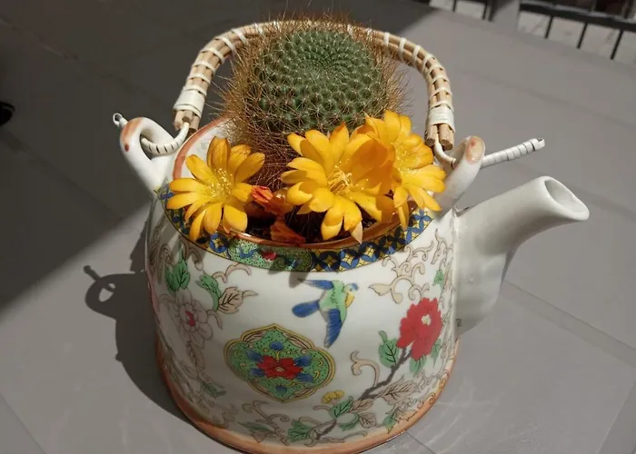 Il Giardino Di Ambra Casa Vacanze Indipendente