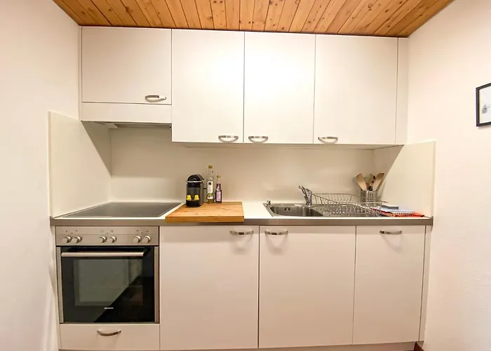 Studio Apartment Alpine Lodge