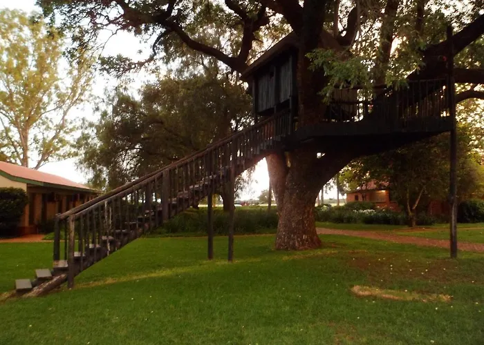 Sondela Nature Reserve & Spa Moselesele Tents
