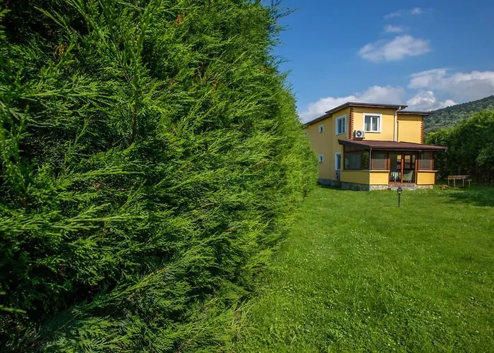 The Doctor'S House