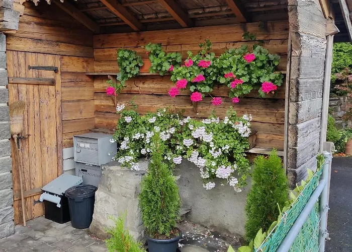 Studio Frangio