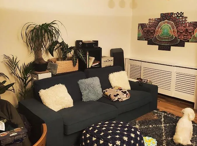 Bedroom In Quiet Neighborhood