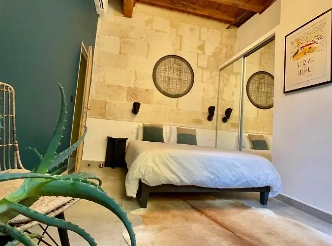 Grand Confort Au Coeur De Nimes