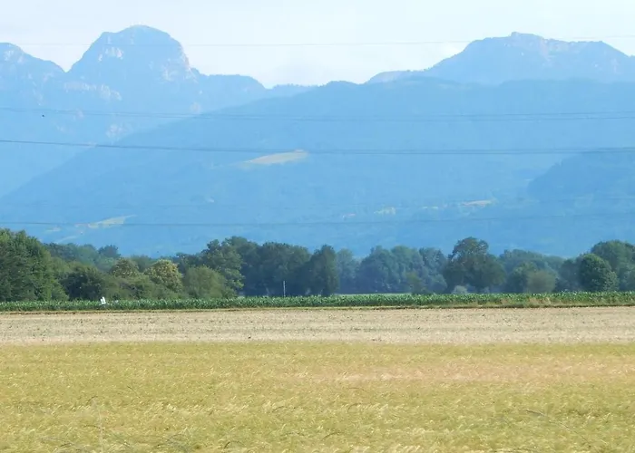 Ferienwohnung Am Feldbach