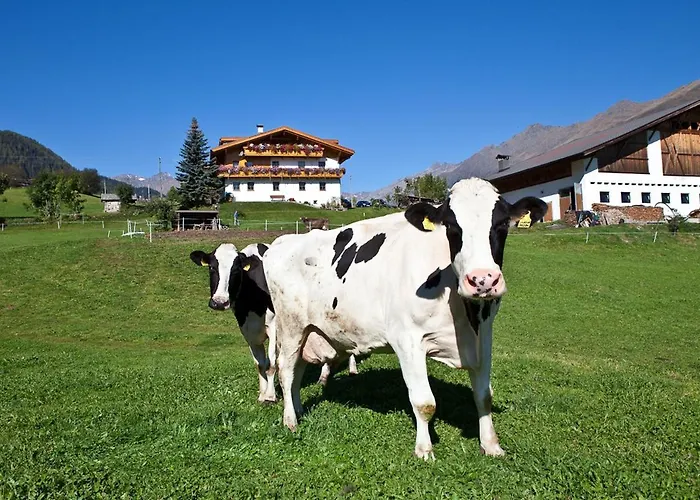 Schneiderhof, Urlaub auf dem Bauernhof