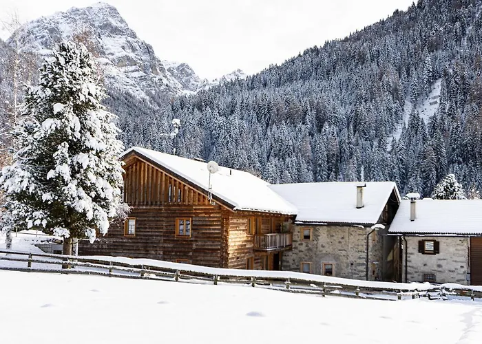Nido Del Brenta