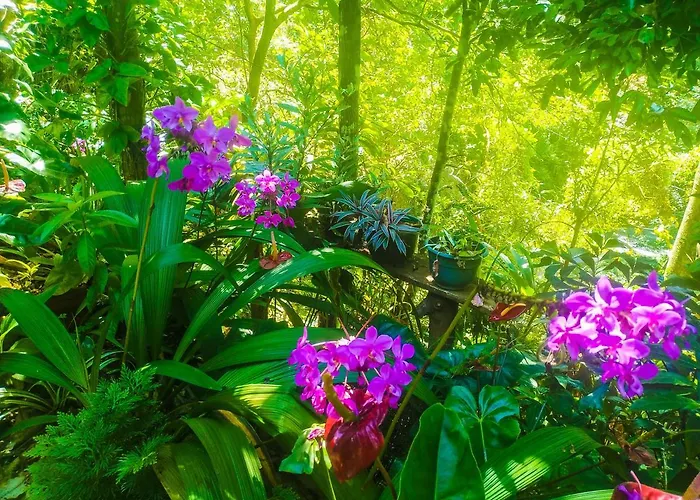 Samadhi Nature Resort