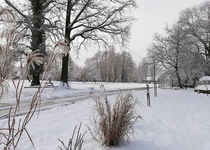 Gruener Wald