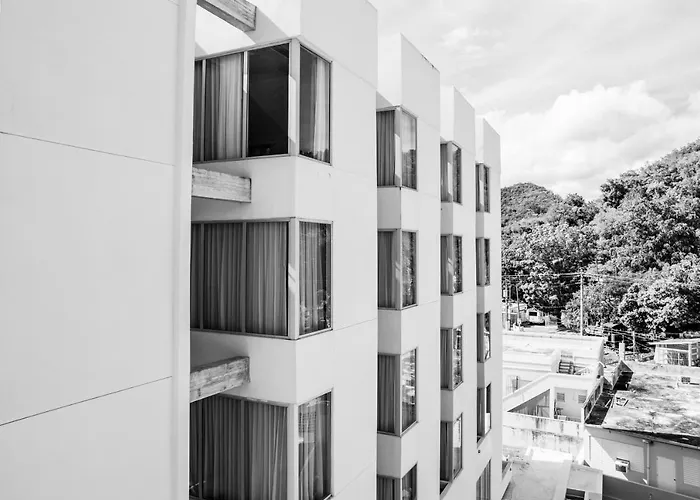 Royal Delonix