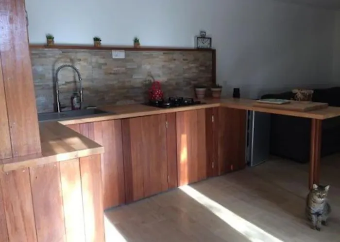 Petite Maison En Pierre La Myrte