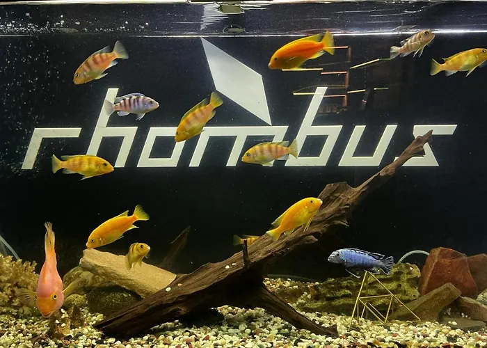 Rhombus Hotel