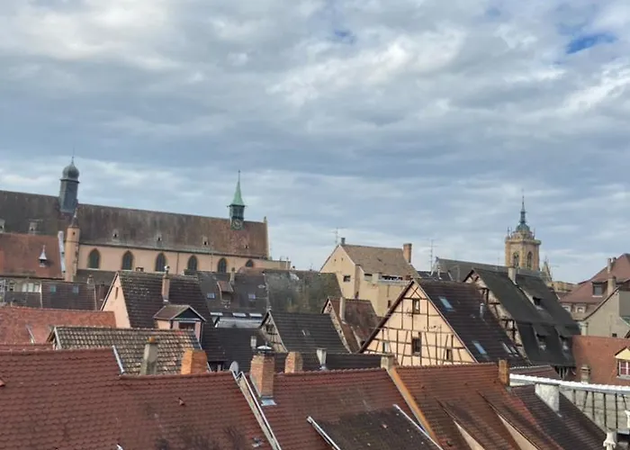 L'Ours De Colmar - Appartements En Centre Ville