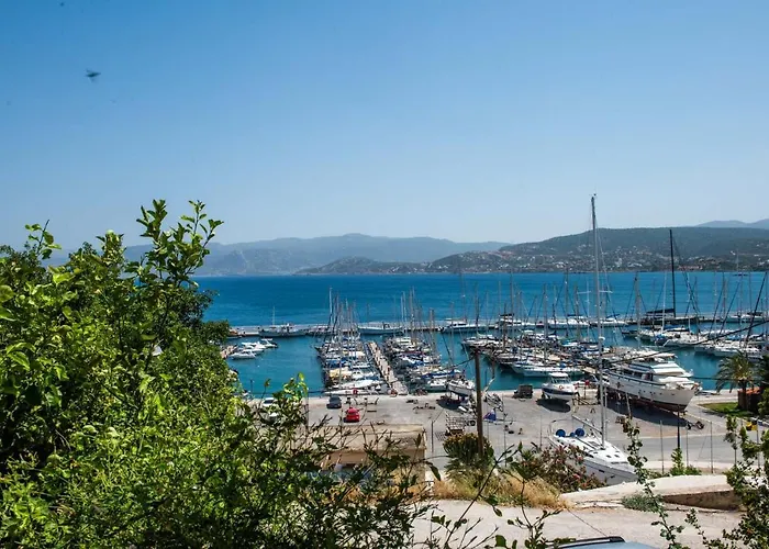 Luxury Apartment Marine View