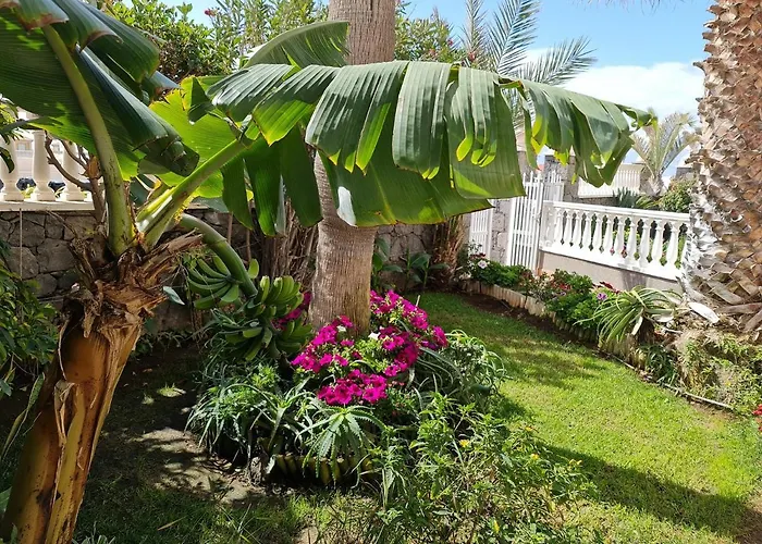 Apartamentos Los Delfines