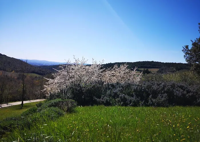 Agriturismo Capanna Delle Cozzole