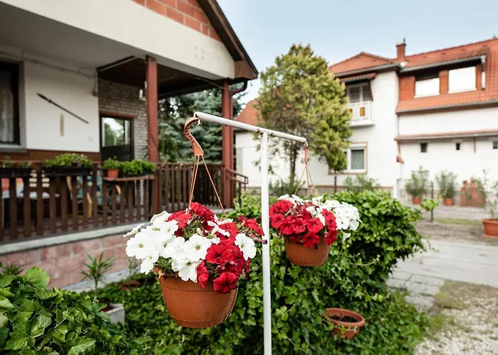 Vadkacsa Apartmanhaz Medencevel