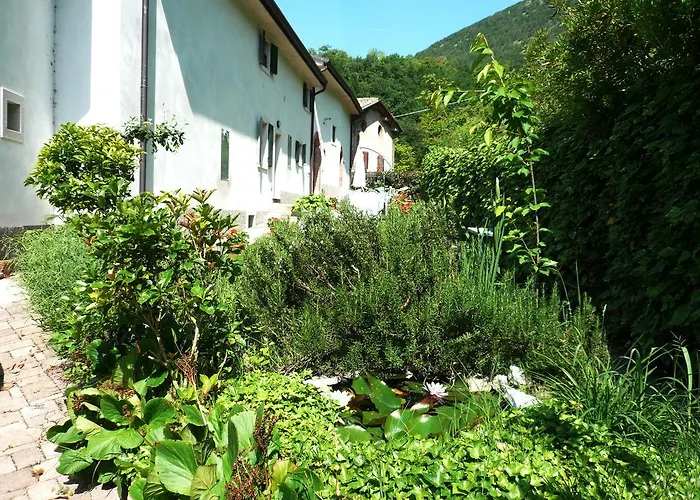 La Corte Dei Limoni
