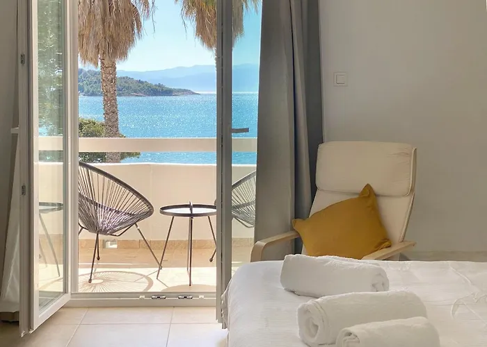 Palm Suite Yellow