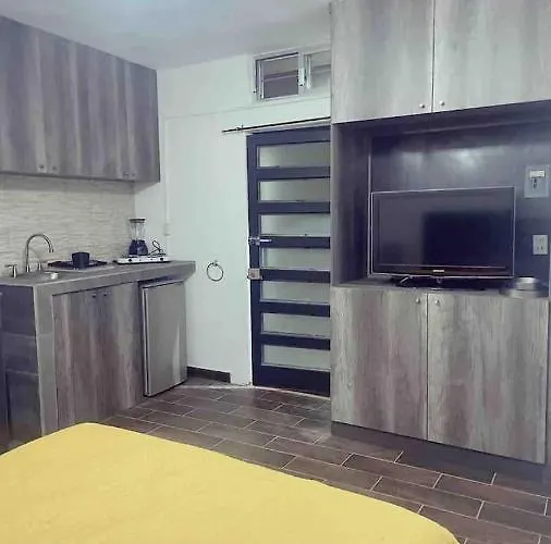 Studio Recien Renovado En El Centro De La Ciudad De Morelia.