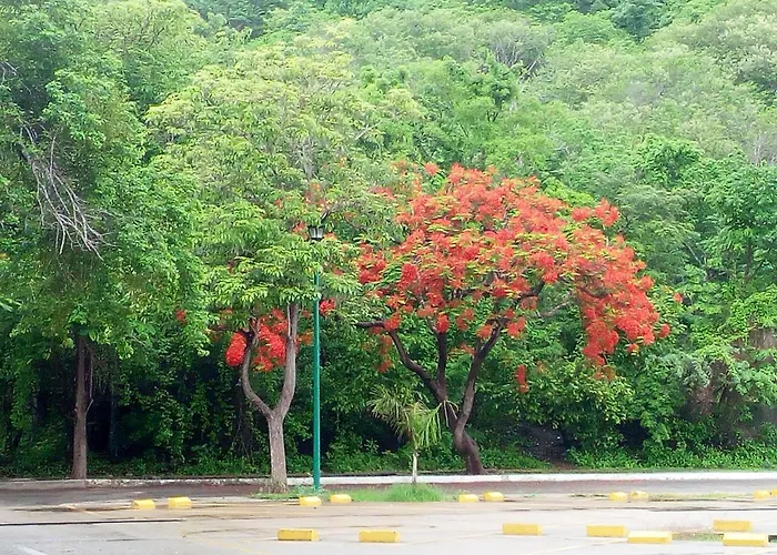 Camino Al Mar
