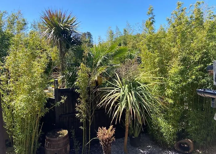 Jungle Cabin