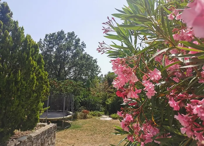 Guest House Casa Cassien