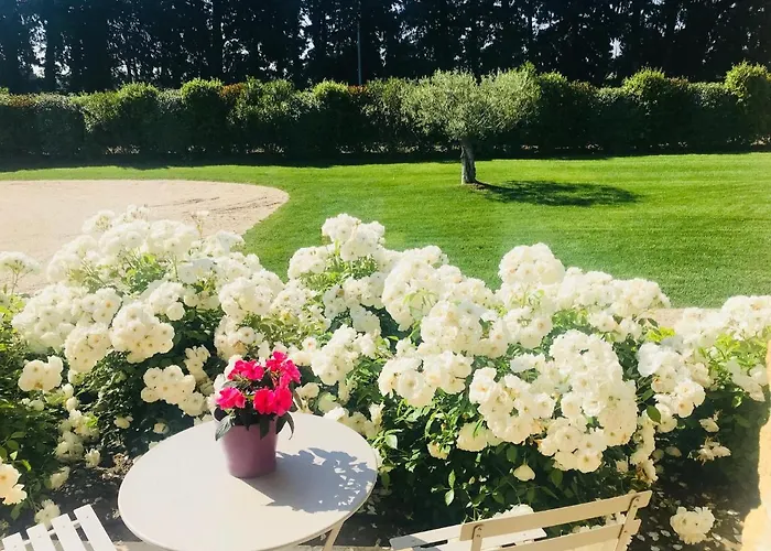 Mas De Charme En Provence
