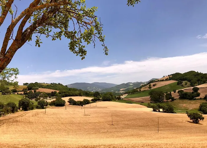 A Casa Di Matisse - Appartamento Vacanze