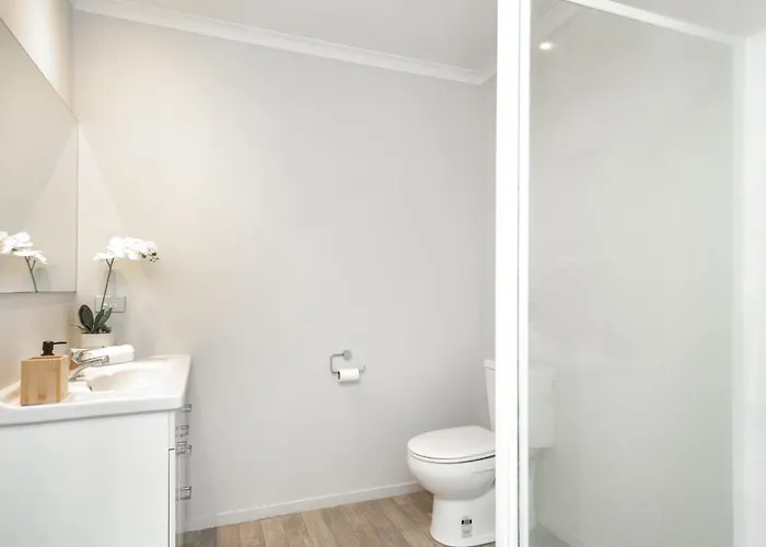 2 Bedroom House In Hamilton Central