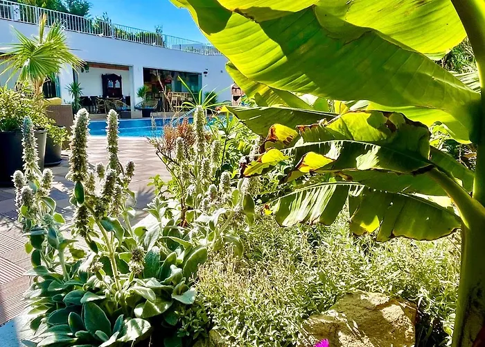Ji Hotel