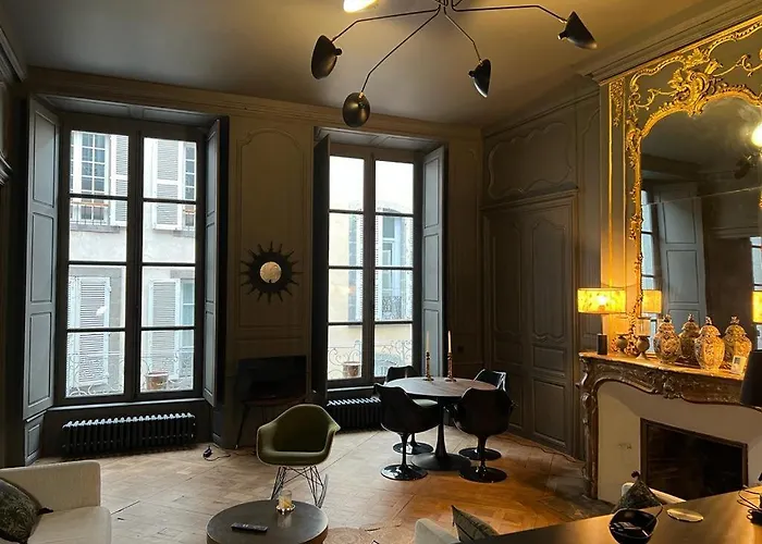 Luxueux 2 Pieces 65M2 Hotel Particulier XVII Ieme Siecle-Centre Historique Clermont-Ferrand