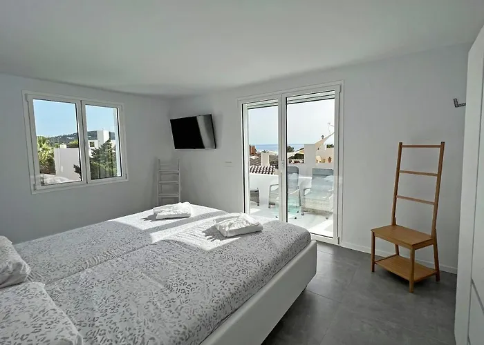 Casa Palm Tree