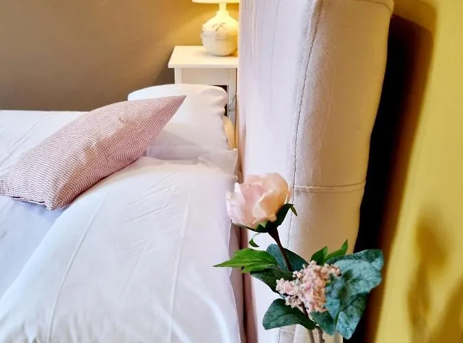 Rose Guest House Pisa