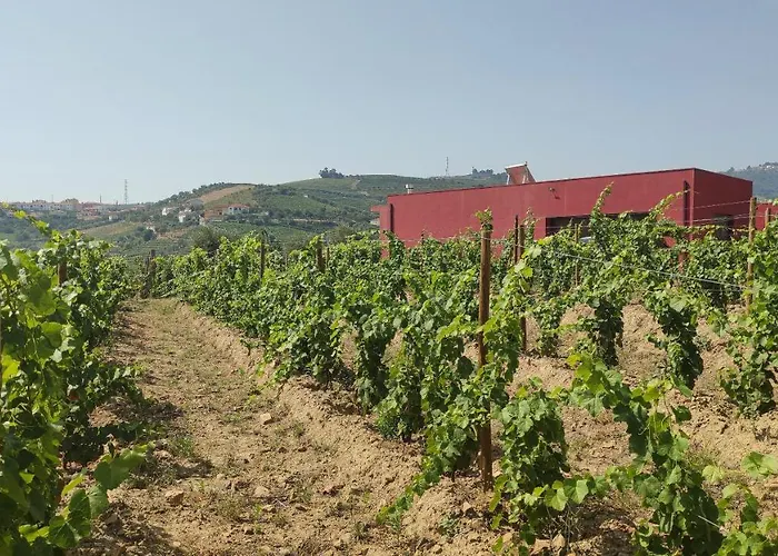 Quinta Dos Padrinhos - Suites In The Heart Of The Douro