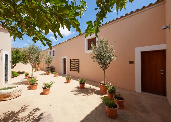 Zoetry Mallorca Wellness & Spa - Hyatt Inclusive Collection (Adults Only)