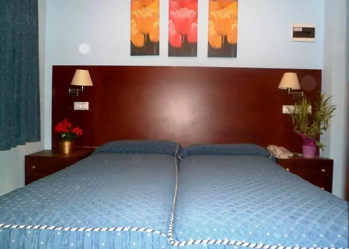 Auto Check In Hotel Las Nieves