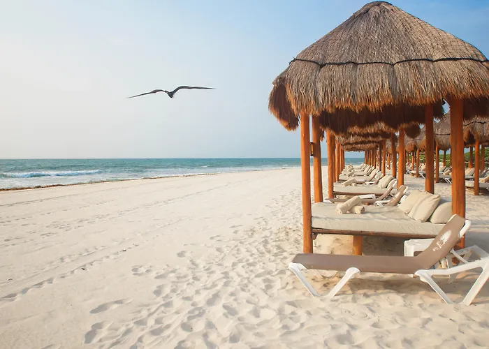 Valentin Imperial Riviera Maya All Inclusive - Adults Only