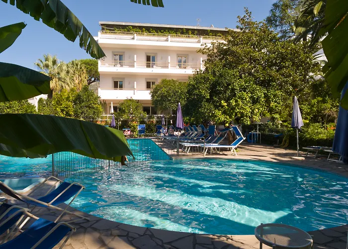 Hotel Alpha